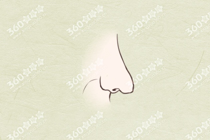 鼻子看相 二十种鼻形大全图解