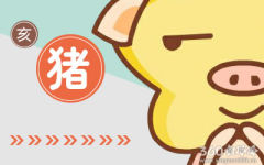 2019年属猪人全年运程综合分析