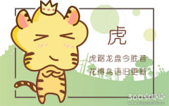 2019年属虎人全年运程综合分析
