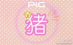 2019年十二生肖全年运程综合分析
