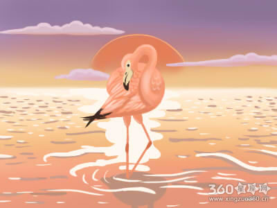 清宫表怎么看怎么算 生男生女有依据吗