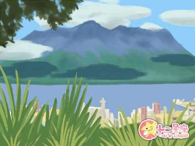 梅花易数 梅花易数
