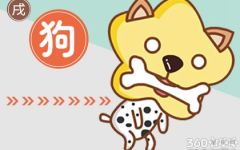 属狗人从事什么工作会显得与众不同