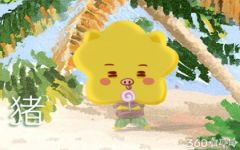 属猪的人会常常把这四种东西给遗漏