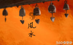 家中适合摆放风水大象吗 应该放在哪里