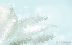 测你会不会是自己朋友当中最晚一个结婚的