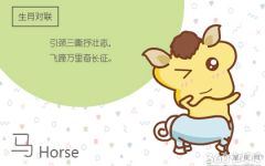 属马和兔婚姻怎么样 属相姻缘配对