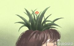 重阳节手抄报大全 重阳节祝福语