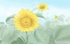 重阳节手抄报边框 重阳节祝福语