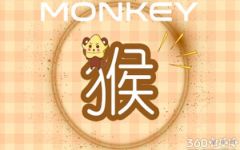 十二生肖婚配 80年属猴的属相婚配表