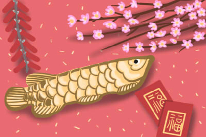 明年猪年是寡妇年吗 有什么禁忌【图】