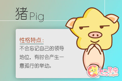 19年为什么是金猪年金猪运程解析 十二星座网 19年为什么是金猪年金猪运程解析 十二星座网