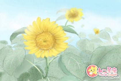黄道吉日查询19年12月31日黄历 十二星座网 黄道吉日查询19年12月31日黄历 十二星座网