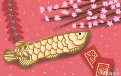 2018属羊的几月出生最好_属羊的今年多大