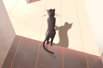 三八节活动策划推荐 三八节集体活动策划