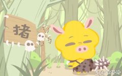 属猪四月生人的命运如何 运势好不好
