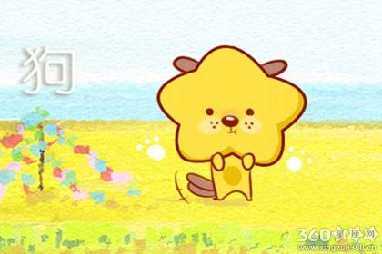 蛇和狗相配吗婚姻 婚姻与运势