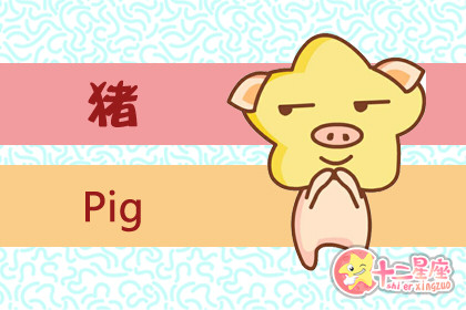 今年是五行什么年19是土猪年吗 十二星座网 今年是五行什么年19是土猪年吗 十二星座网