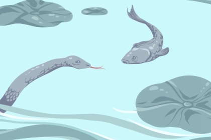 做梦掉牙没出血也不疼是什么意思