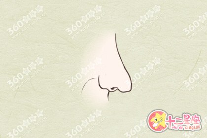 鼻子看相 二十种鼻形大全图解