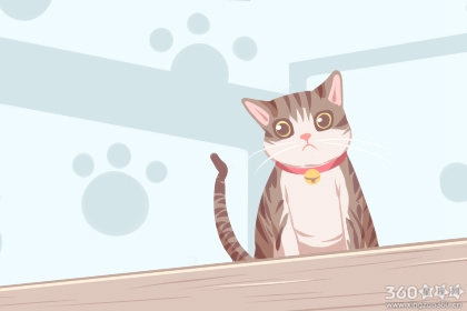 梦到好多猫是什么意思周公解梦 有何预兆（图）