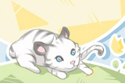 梦到猫咪是什么意思 有什么含义