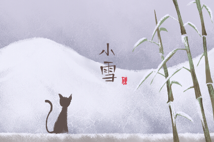 什么雪什么皑成语_雪菜是什么菜图片(3)