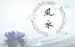 怪石彰显个性 家中摆放要谨慎