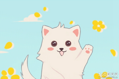 梦见猫抓我不放，梦境背后的深层含义与解析