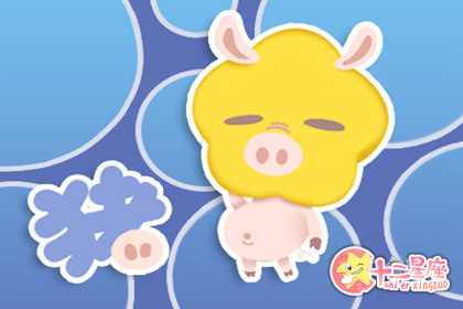 梦到猪是什么意思 梦见猪好不好