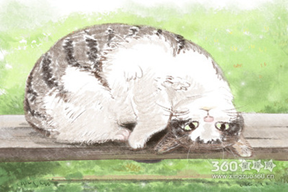 梦到被猫抓是什么意思 有什么含义（多图）
