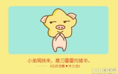 1995属猪的三大坎 属猪命运分析