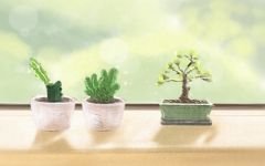 今日吉时 2020年5月14日吉时查询