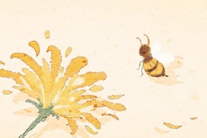 孕妇梦见蜜蜂是什么意思 有什么预兆