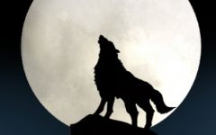 女人梦见狼是什么意思 有什么预兆