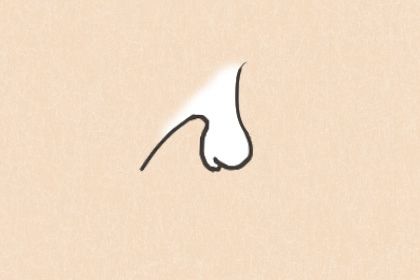 相学最有福气的7种鼻子 这些鼻子命运好