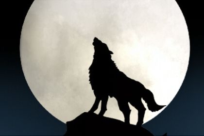 女人梦见狼是什么预兆 有什么含义