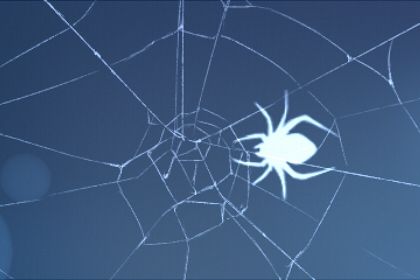 梦见被蜘蛛咬了手预示什么有什么征兆 十二星座网 梦见被蜘蛛咬了手预示什么有什么征兆 十二星座网