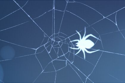 做梦梦见蜘蛛是什么意思 预示什么