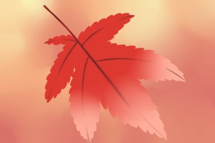 立秋节气的含义是什么 立秋是什么意思