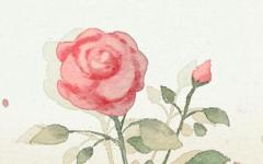 装修选吉日 2020年12月12日装修怎么样