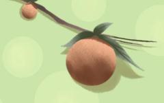 选装修吉日 2020年12月15日装修好不好
