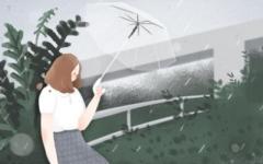 属牛人2021年多大 这一年运势怎么样