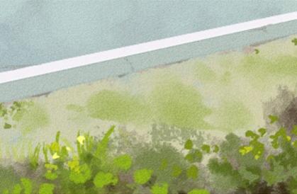 女人额头伏羲骨图片长伏羲骨的女人好吗