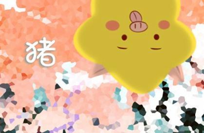 今年属猪的财运和感情 有什么说法 今年属猪的财运和感情 有什么说法