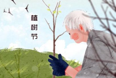3月12日植树节的由来是什么 植树节的意义和目的【图】