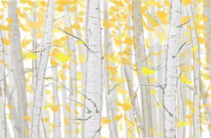 牛年取公司名字 寓意顺利的公司起名