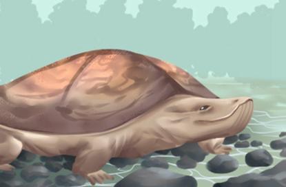 环保公司起名牛年 环保公司的名字