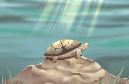 环保公司起名牛年 环保公司的名字