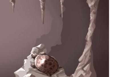 2021年最新物流公司起名 顺口的公司名